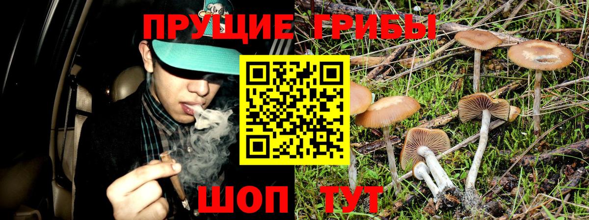 Псилоцибиновые грибы мухоморы Моздок