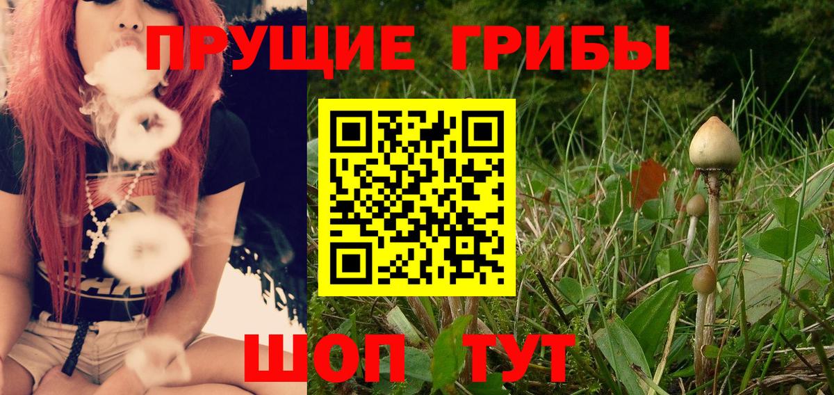 Моздок  Псилоцибиновые грибы мухоморы  Вход с VPN 